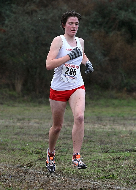 2010NCSXC GD3-649.JPG - 2010 North Coast Section Cross Country Championships, Hayward High School, Hayward, California
